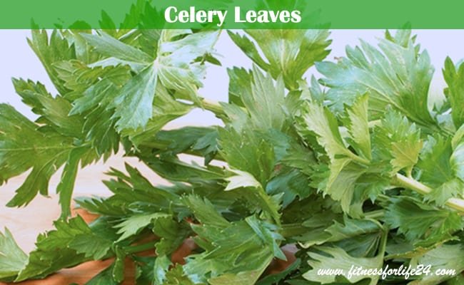 Celery Leaves