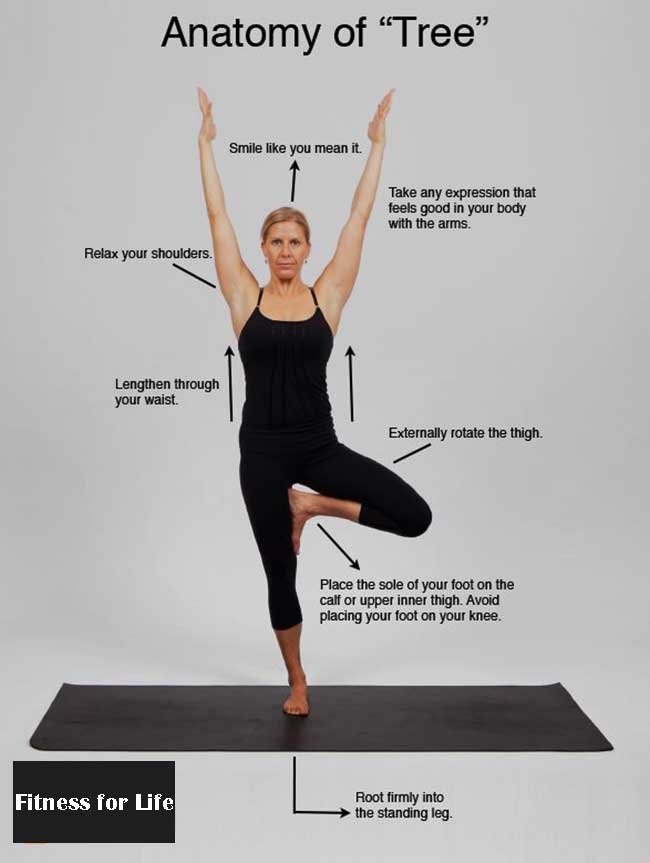 tree pose benefits