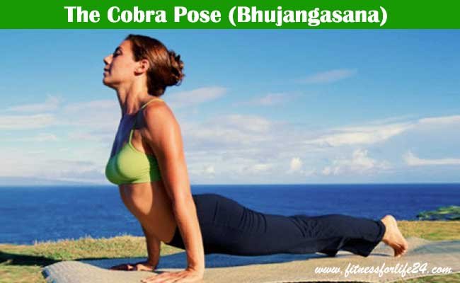 Bhujangasana