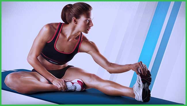 Muscles Stretching