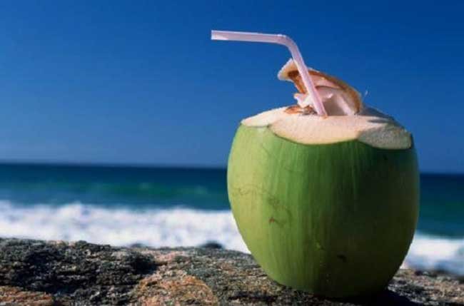 Drinking Coconut Water Every day 