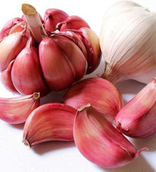 Garlic for tooth pain