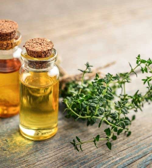 Thyme Essential Oil for toothache